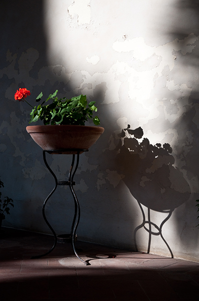 San Giminiano, Italien 2014